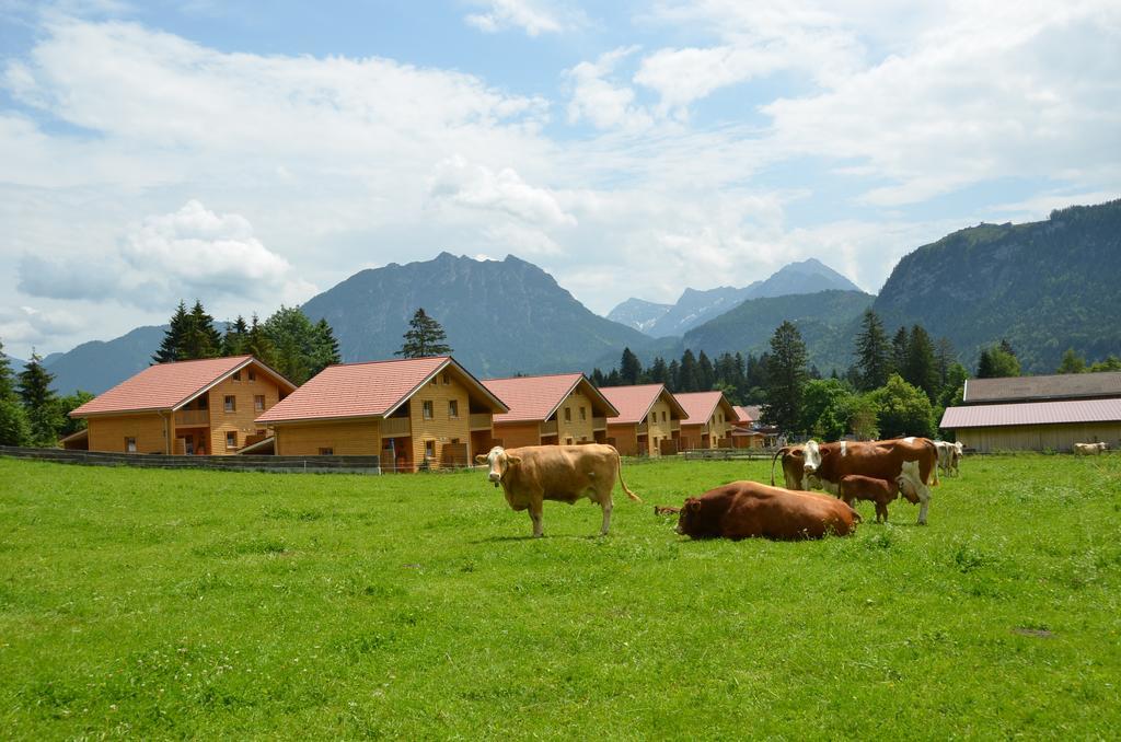 Feriendorf Am Hahnenkamm Reutte Exterior foto